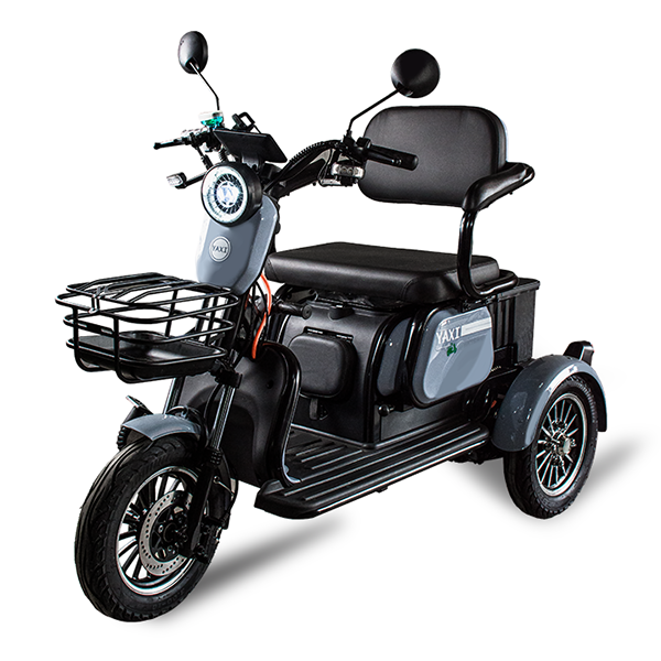 T2 TRIMOTO